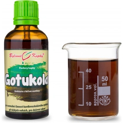 Bylinné kapky Gotukola gotu kolesa bylinné kvapky tinktúra 50 ml