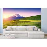 DIMEX ART Самозалепваща се флизелинова фототапета фуджи, япония 375 x 250 см