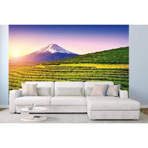DIMEX ART Самозалепваща се флизелинова фототапета фуджи, япония 375 x 250 см
