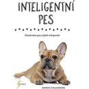 Inteligentní pes