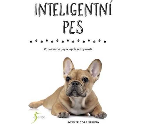 Inteligentní pes