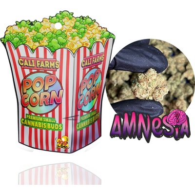 Califarms Amnesia 12,88 % CBD 0,07% THC 10 g – Zboží Dáma