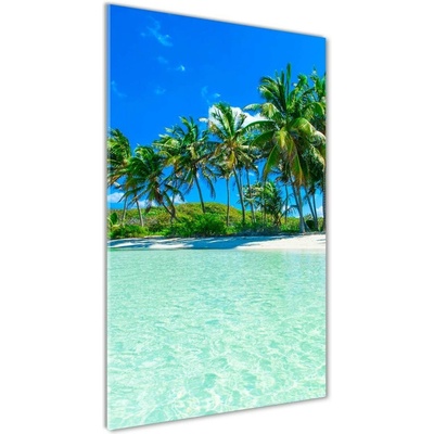 Vertikálny foto obraz sklenený Tropická pláž 50x100 cm