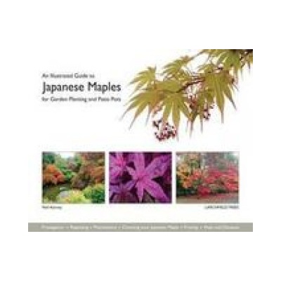 Illustrated Guide to Japanese Maples for Garden Planting and Patio Pots ...