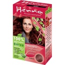 Farby na vlasy Henna prírodná farba na vlasy gaštan 117 prášková 33 g