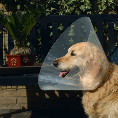 Beeztees Límec pro psy 31-38 x 15 cm