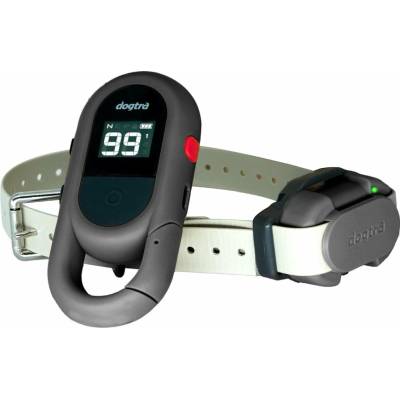 Dogtra IQ Flex