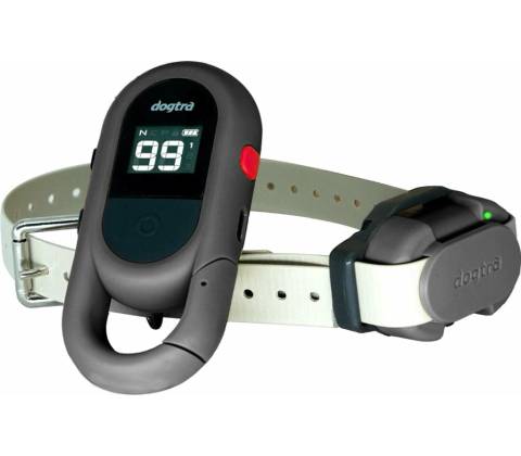 Dogtra IQ Flex