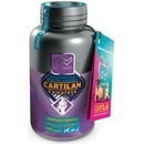 Cartilan complete 100 tbl