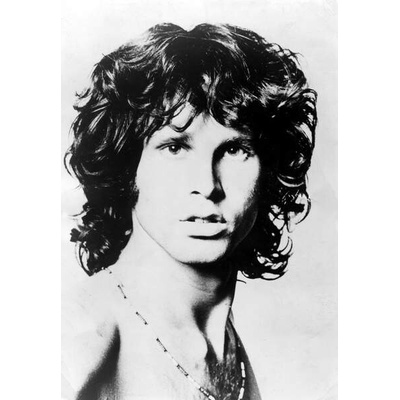 Plagát, Obraz - The Doors, 26.7 × 40 cm