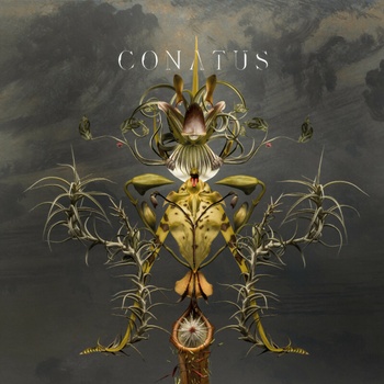 BEVING JOEP - CONATUS CD
