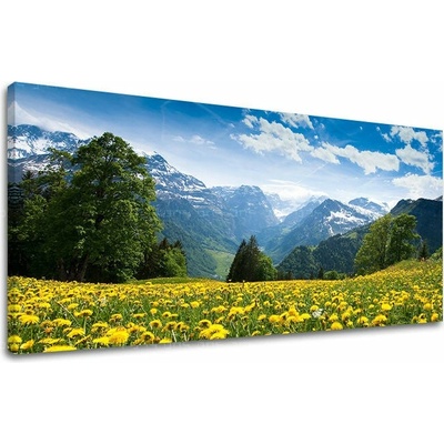 Obraz na stenu PANORÁMA KRAJINA - 40x80 cm