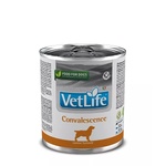Vet Life Convalescence 12x300 g