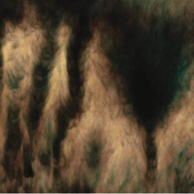 WILLIAM BASINSKI - Lamentations LP