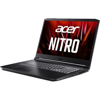 Acer Nitro 5 NH.QAREC.009