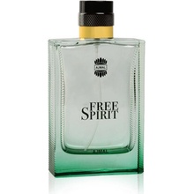 Ajmal Free Spirit parfémovaná voda pánská 100 ml