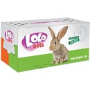 LoloPets kartonová krabička na transport velká 27 x 13 x 13 cm