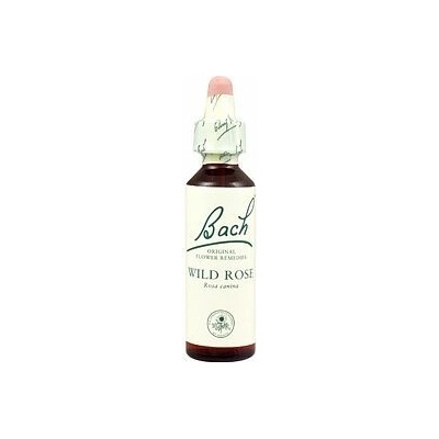A. Nelson WILD ROSE Ruža šípová 20 ml
