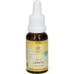 Lemon Pharma Cerato Цветна есенция N°5, 20 ml, Lemon Pharma (181052 (900105) LP)