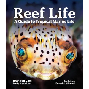 Reef Life (ISBN: 9780228102946)