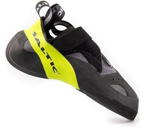 Saltic Toxic