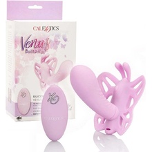 Butterfly Remote Venus G