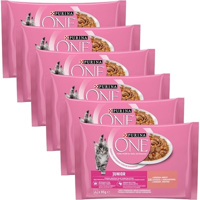 PURINA ONE JUNIOR мултипакет 24 x 85 г