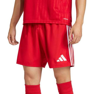 adidas TASTIGO25 SHO M červená