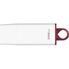 Kingston Datatraveler Exodia 256GB USB 3.2 Gen 1 (DTX-256GB-W)