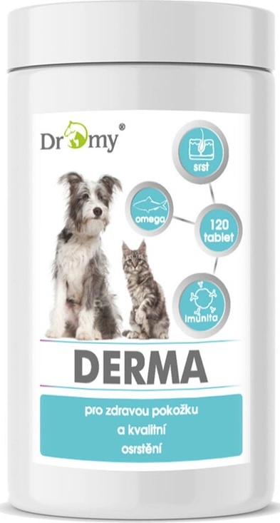 Dromy DERMA 120 tbl