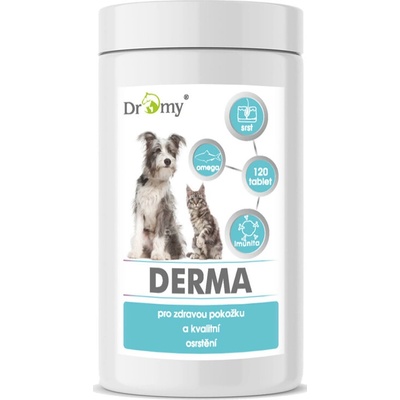Dromy DERMA 120 tbl