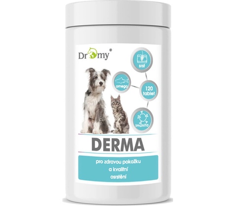 Dromy DERMA 120 tbl