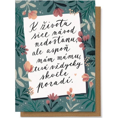 Chaukiss K životu sice návod nedostanu, ale aspoň mám mámu, která vždycky skvěle poradí.