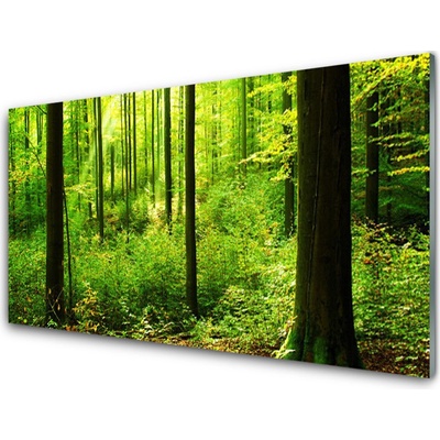 Skleneny obraz Les zeleň stromy príroda 100x50 cm