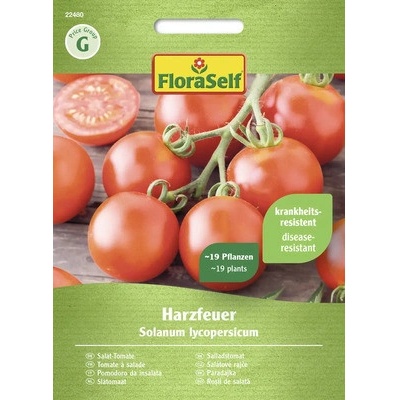 Rajče salátové Harzfeuer FloraSelf F1 hybrid