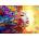 Enjoy - Puzzle Summer Bliss - 1 000 piese