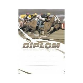 Diplom 6665