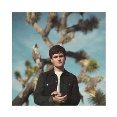 Tom Speight - Everythings Waiting For You LP