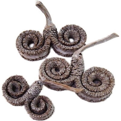 palm ring white wash, cena za 10 ks