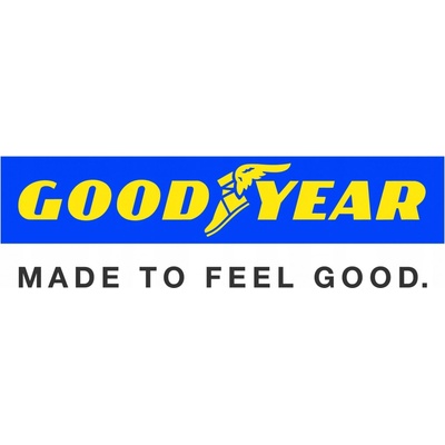 Goodyear All Season 4 225/45 R17 94W