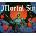 Mortal Sin