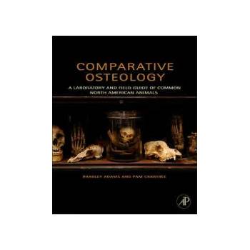 Image 1 of Comparative Osteology | Bradley Adams