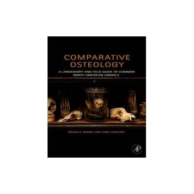 Comparative Osteology | Bradley Adams