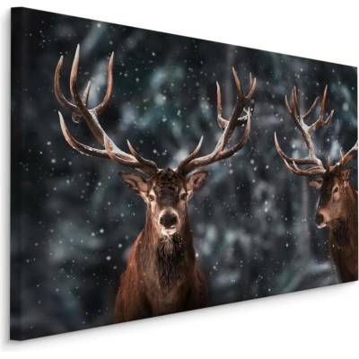 MyBestHome BOX Plátno Dva Velkolepí Jeleni Varianta: 70x50