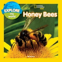 Explore My World: Honey Bees Esbaum Jill / softback