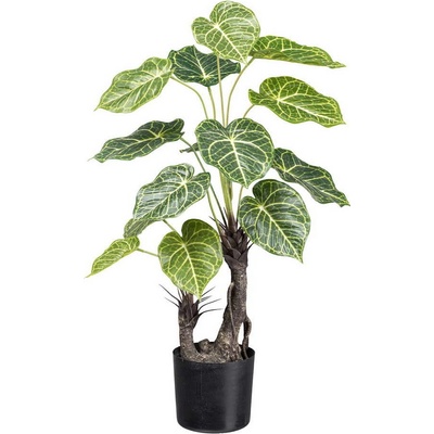 Umělá rostlina Nephtytis 2 kmeny, 70cm