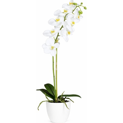 Umělá rostlina Orchidej, 54 cm, krémová