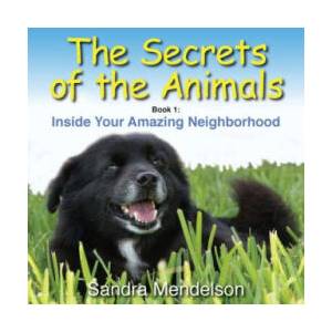 Secrets of the Animals | Sandra Mendelson (ISBN: 9780999270424)