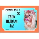 Plaček Tabulka Tady hlídám! Jorkšírský teriér