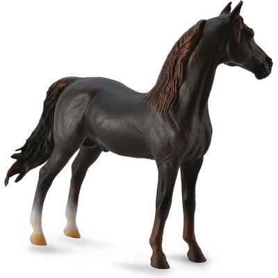 COLLECTA Morgan Tmavý Ryšiak